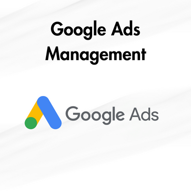 Google Ads Management