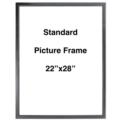 Standard Picture Frame